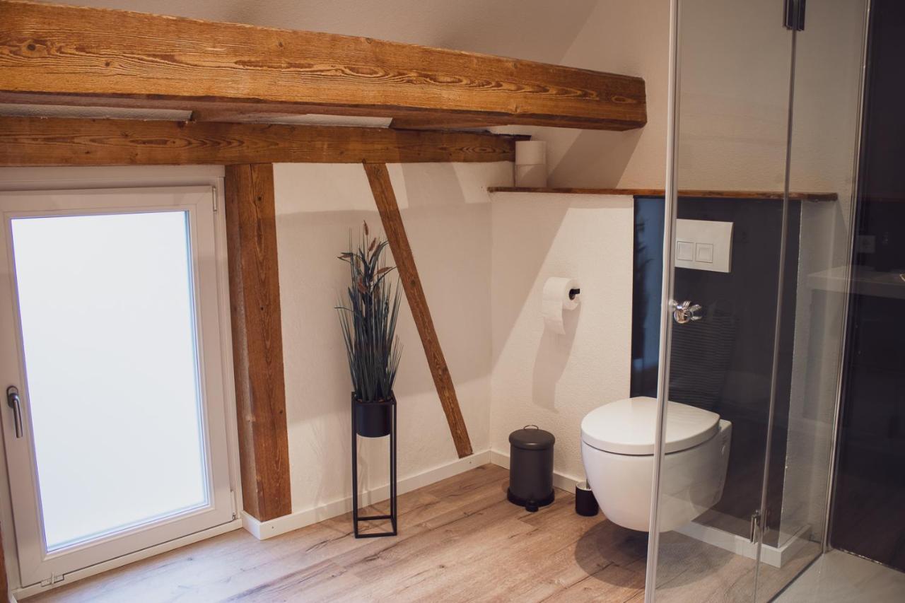 Apartment Im Alten Fronhof Balingen Bagian luar foto